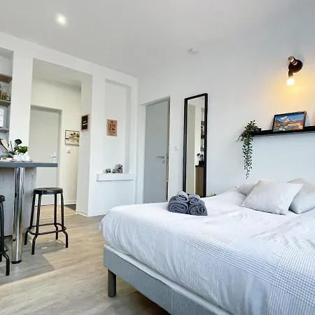 Le Paradis Fiscal, 5min Bale, Parking Prive Apartman *