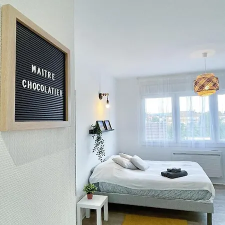 Le Paradis Fiscal, 5min Bale, Parking Prive * Saint-Louis