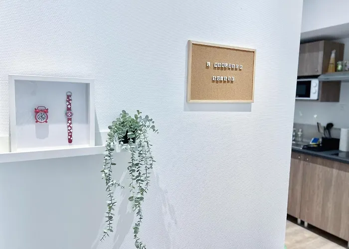 Le Paradis Fiscal, 5min Bale, Parking Prive *