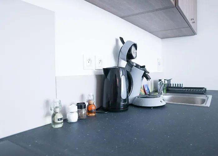 Lejlighed Le Paradis Fiscal, 5min Bale, Parking Prive