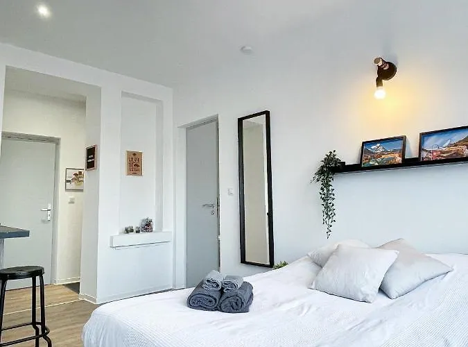 Le Paradis Fiscal, 5min Bale, Parking Prive Lejlighed Saint-Louis (Haut-Rhin)