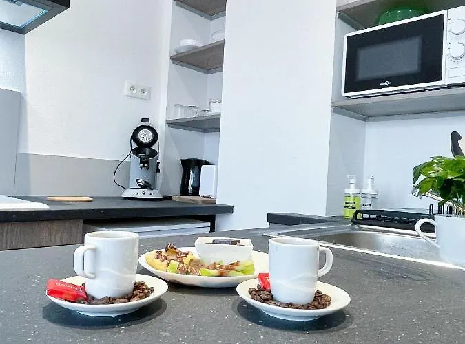 Lejlighed Le Paradis Fiscal, 5min Bale, Parking Prive