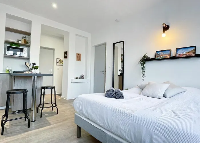 Le Paradis Fiscal, 5min Bale, Parking Prive Lejlighed *