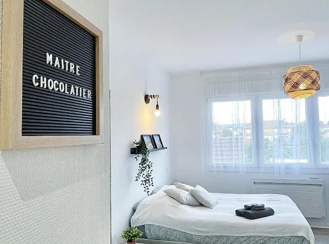 Le Paradis Fiscal, 5min Bale, Parking Prive * Saint-Louis (Haut-Rhin)